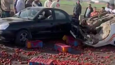 انقلاب مروع على طريق شبرا–بنها… سيارة نقل تنقسم لنصفين وتنثر حمولة الفراولة