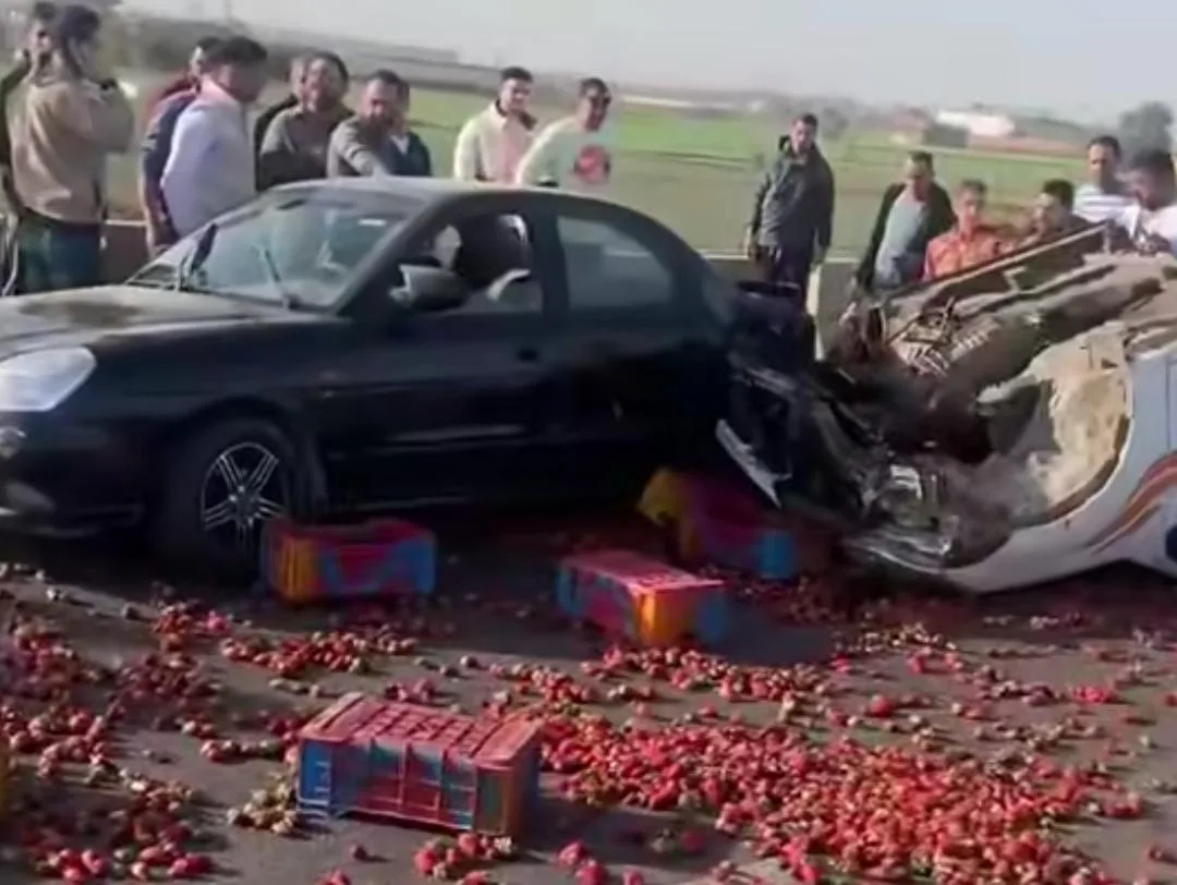 انقلاب مروع على طريق شبرا–بنها… سيارة نقل تنقسم لنصفين وتنثر حمولة الفراولة
