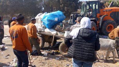 محافظ القليوبية يشن حملة مكبرة لرفع الإشغالات ومصادرة 12 «كارو» ورفع 25 طن مخلفات بشرق شبرا الخيمة وبنها محافظ القليوبية يشن حملة مكبرة لرفع الإشغالات ومصادرة 12 «كارو» ورفع 25 طن مخلفات بشرق شبرا الخيمة وبنها
