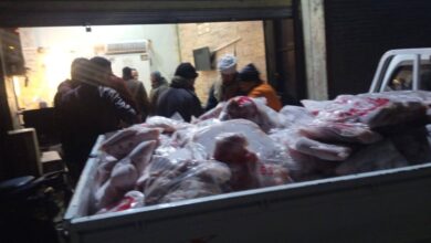كارثة غذائية في بنها.. ضبط 770 كيلو دواجن منتهية الصلاحية داخل مطعم شهير وحملة تسقط المخالفين