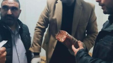 قبل رمضان.. ضبط طن ونصف لحوم ودواجن فاسدة في حملة تموينية بالقليوبية قبل رمضان.. ضبط طن ونصف لحوم ودواجن فاسدة في حملة تموينية بالقليوبية