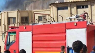 السيطرة على حريق محدود خلف محطة قطار شبين القناطر بالقليوبية السيطرة على حريق محدود خلف محطة قطار شبين القناطر بالقليوبية