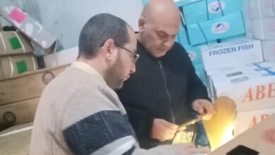 ضربة قوية للأسواق.. القليوبية تضبط طنًا و200 كجم أسماك فاسدة قبل عيد الفطر ضربة قوية للأسواق.. القليوبية تضبط طنًا و200 كجم أسماك فاسدة قبل عيد الفطر