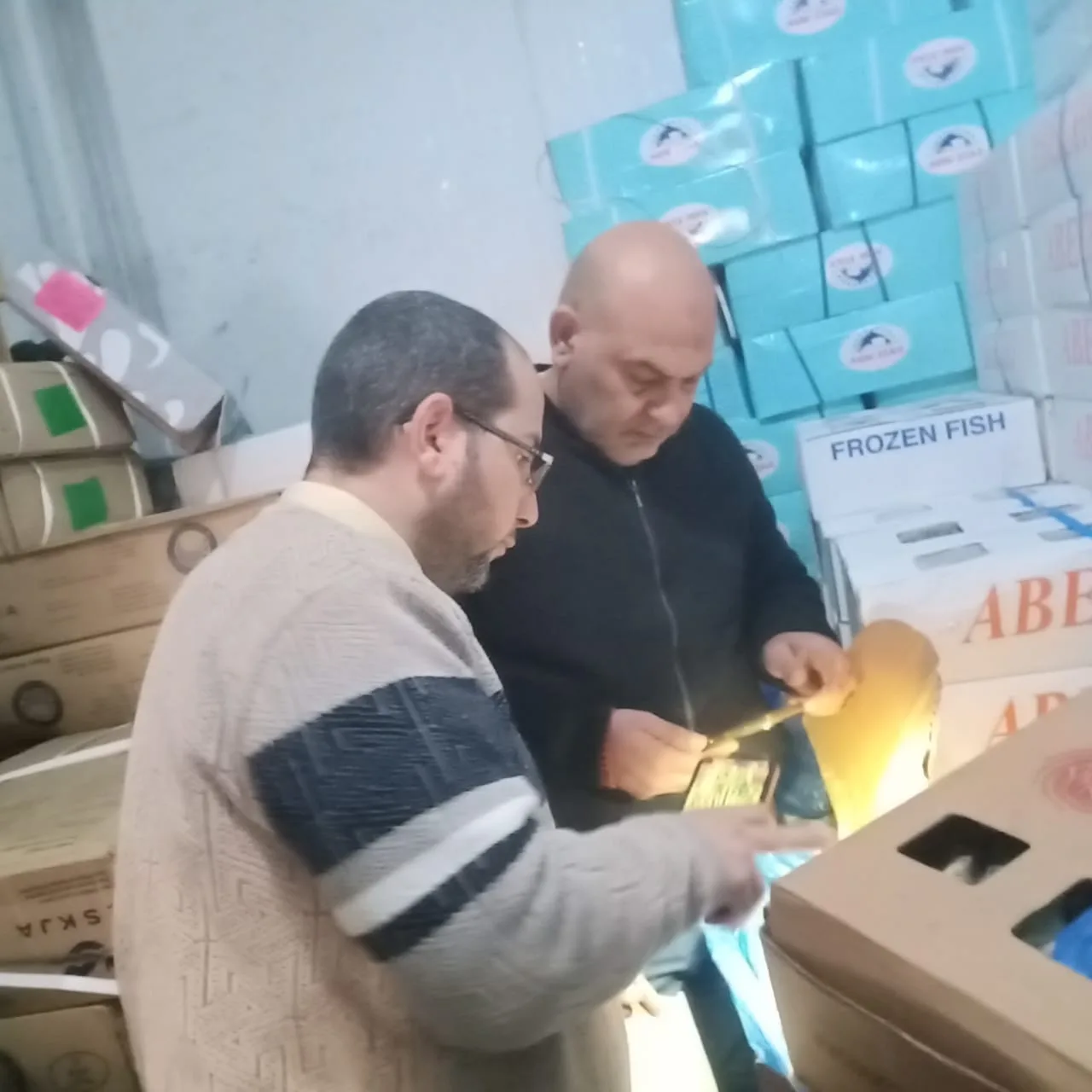 ضربة قوية للأسواق.. القليوبية تضبط طنًا و200 كجم أسماك فاسدة قبل عيد الفطر