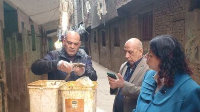 قبل عيد الفطر.. ضبط مصنع غير مرخص للأسماك والفسيخ في القليوبية قبل عيد الفطر.. ضبط مصنع غير مرخص للأسماك والفسيخ في القليوبية