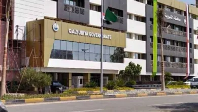 القليوبية تنفي وقوع انفجارات بعد سماع دوي غامض وتطمئن المواطنين القليوبية تنفي وقوع انفجارات بعد سماع دوي غامض وتطمئن المواطنين