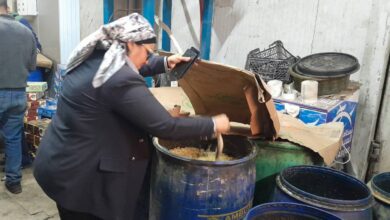 ضبط نصف طن سردين مجهول المصدر وإعدام أسماك فاسدة في حملة تموينية ببنها