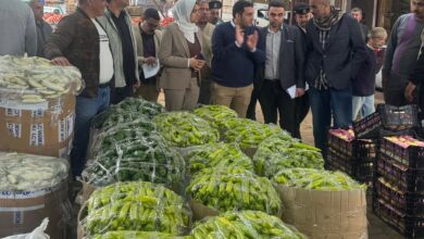 حملة موسعة بسوق الجملة ببنها تضبط المتلاعبين بأسعار الخضروات وتعيد الانضباط للأسواق حملة موسعة بسوق الجملة ببنها تضبط المتلاعبين بأسعار الخضروات وتعيد الانضباط للأسواق