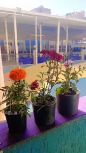 بهجة الربيع تضيء قلوب الصغار.. إبداع براعم الشبان العالمية ببنها في احتفال استثنائي