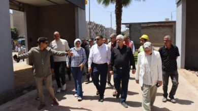 محافظ القليوبية يتابع تطوير الأسواق الحضارية بشبرا الخيمة ويوجه بتسريع التنفيذ ودعم فرص العمل محافظ القليوبية يتابع تطوير الأسواق الحضارية بشبرا الخيمة ويوجه بتسريع التنفيذ ودعم فرص العمل