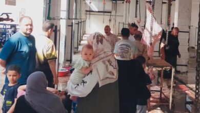 مجازر القليوبية تواصل استقبال الأضاحي مجانًا.. و3732 حالة ذبح حتى اليوم الرابع
