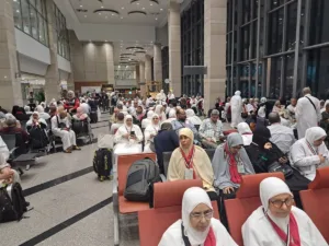 270 حاجًا من القليوبية يبدؤون رحلتهم الإيمانية بالأراضي المقدسة وسط متابعة من التضامن الاجتماعي