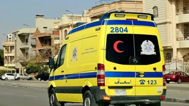 مفاجأة في واقعة مقتل سيدة بشبرا الخيمة على يد حفيدها.. المخدرات وراء الجريمة وتسلسل للسرقة انتهى بالقتل مفاجأة في واقعة مقتل سيدة بشبرا الخيمة على يد حفيدها.. المخدرات وراء الجريمة وتسلسل للسرقة انتهى بالقتل