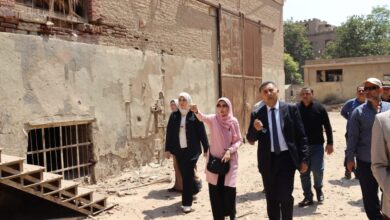 محافظ القليوبية يتفقد محلج القطن الأثري بالقناطر ويطرح رؤيته لتحويله لمزار سياحي وإنشاء موقف حضاري جديد محافظ القليوبية يتفقد محلج القطن الأثري بالقناطر ويطرح رؤيته لتحويله لمزار سياحي وإنشاء موقف حضاري جديد