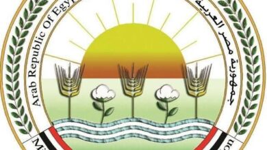 غدًا.. انطلاق صرف أسمدة الموسم الصيفي 2026 بالجمعيات الزراعية تحت رقابة مشددة