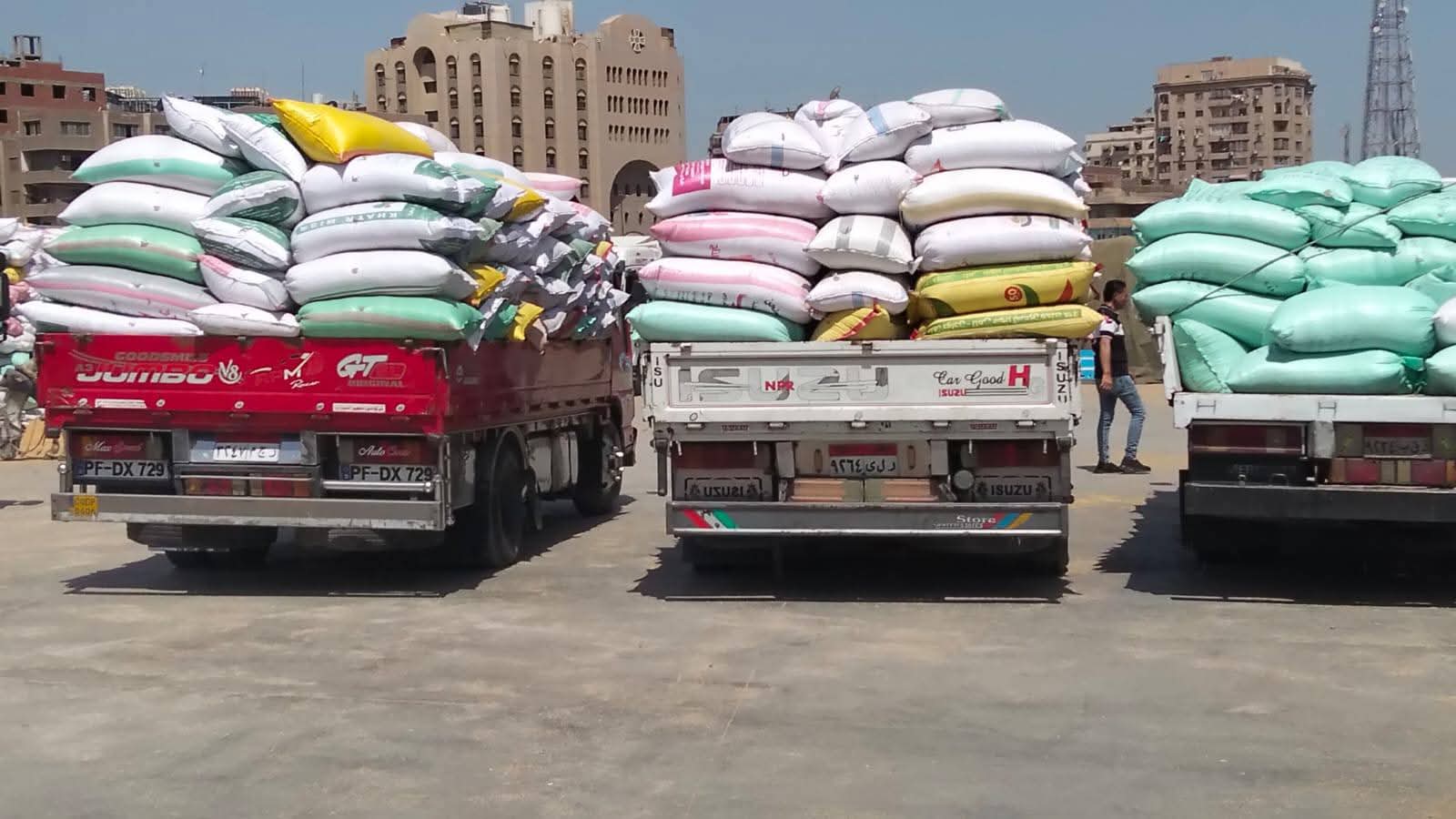 الذهب الأصفر» يغزو صوامع القليوبية.. توريد أكثر من 60 ألف طن قمح خلال أيام