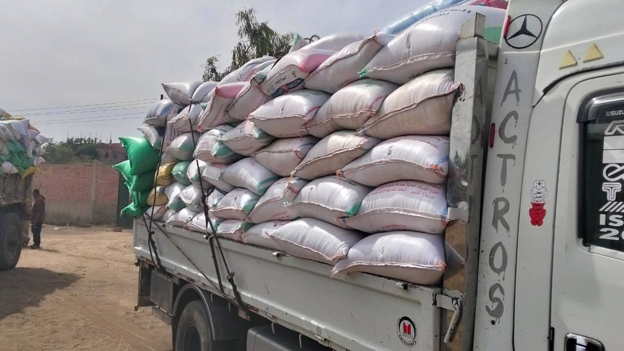 القليوبية تواصل حصاد «الذهب الأصفر».. وتوريد أكثر من 81 ألف طن قمح لدعم الأمن الغذائي القليوبية تواصل حصاد «الذهب الأصفر».. وتوريد أكثر من 81 ألف طن قمح لدعم الأمن الغذائي
