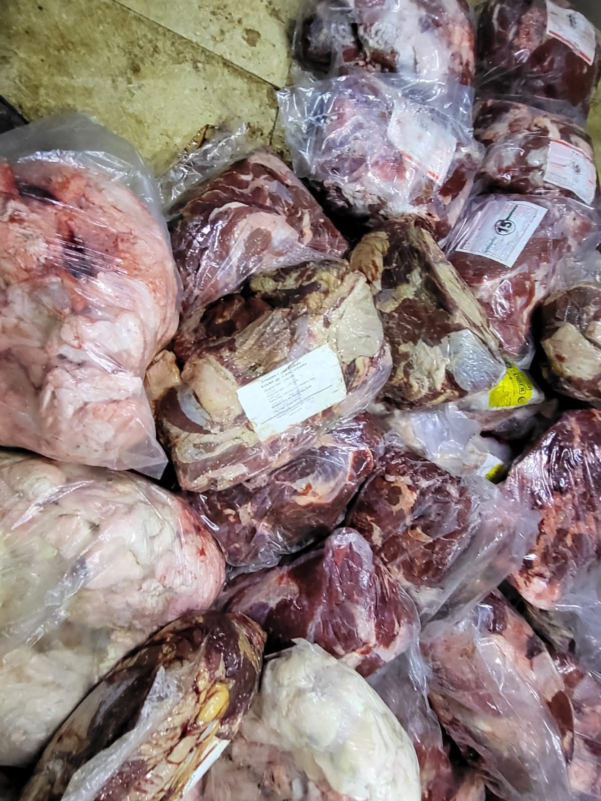 ضربة رقابية بالقليوبية.. ضبط 10 أطنان لحوم فاسدة داخل ثلاجة غير مرخصة بشبرا الخيمة قبل العيد