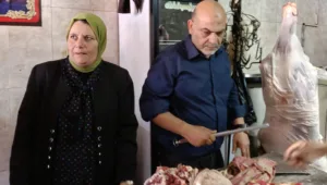الطب البيطري بالقليوبية في حالة استنفار كامل استعدادًا لعيد الأضحى.. وضبط 2 طن دواجن ودهون غير صالحة للاستهلاك الآدمي