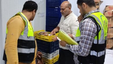 حملات مكبرة بالقليوبية قبل عيد الأضحى تضبط 850 كيلو لحوم ومصنعات غير صالحة بالقناطر الخيرية حملات مكبرة بالقليوبية قبل عيد الأضحى تضبط 850 كيلو لحوم ومصنعات غير صالحة بالقناطر الخيرية
