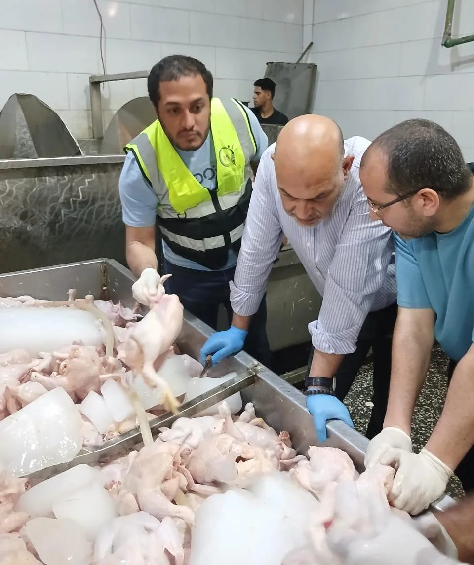 القليوبية تضبط 3 أطنان دواجن فاسدة خلال حملات بيطرية مكثفة استعدادًا لعيد الأضحى