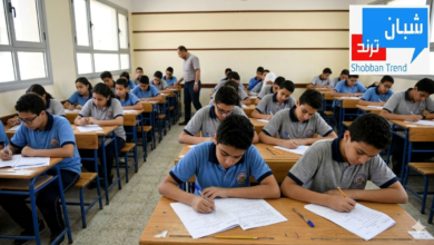 لطلاب القليوبية.. إذا ظهرت لك عبارة "النتيجة محجوبة" فلا تقلق.. تعرف على معناها وأسبابها