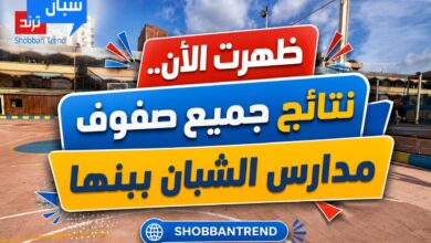 بضغطة زر.. استعلم الآن عن نتيجة جميع صفوف مرحلة اللغات بشبان بنها