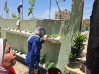 نائب محافظ القليوبية تشيد بمشروع زراعة الأسطح بمدارس الشبان العالمية: نموذج رائد للمشروعات الخضراء