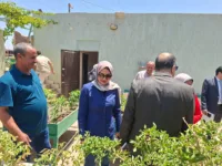 نائب محافظ القليوبية تشيد بمشروع زراعة الأسطح بمدارس الشبان العالمية: نموذج رائد للمشروعات الخضراء