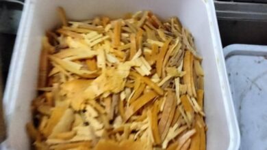 ضبط 1.5 طن جبن رومي وأبيض فاسد داخل مول شهير بالعبور وغلق المنشأة وإحالة الواقعة للنيابة