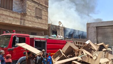 النيران تلتهم مزرعة دواجن وورشة نجارة في ورورة ببنها.. والحماية المدنية تتدخل سريعًا