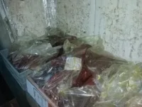قبل وصولها للمواطنين.. ضبط 445 كيلو مصنعات لحوم ودواجن فاسدة وسلع منتهية الصلاحية بالخصوص