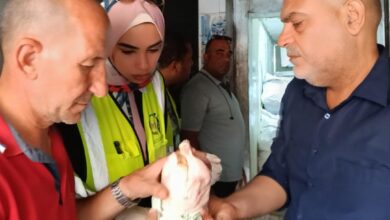ضبط ربع طن لحوم ودواجن فاسدة خلال حملة رقابية مكبرة بمدينة بنها ضبط ربع طن لحوم ودواجن فاسدة خلال حملة رقابية مكبرة بمدينة بنها