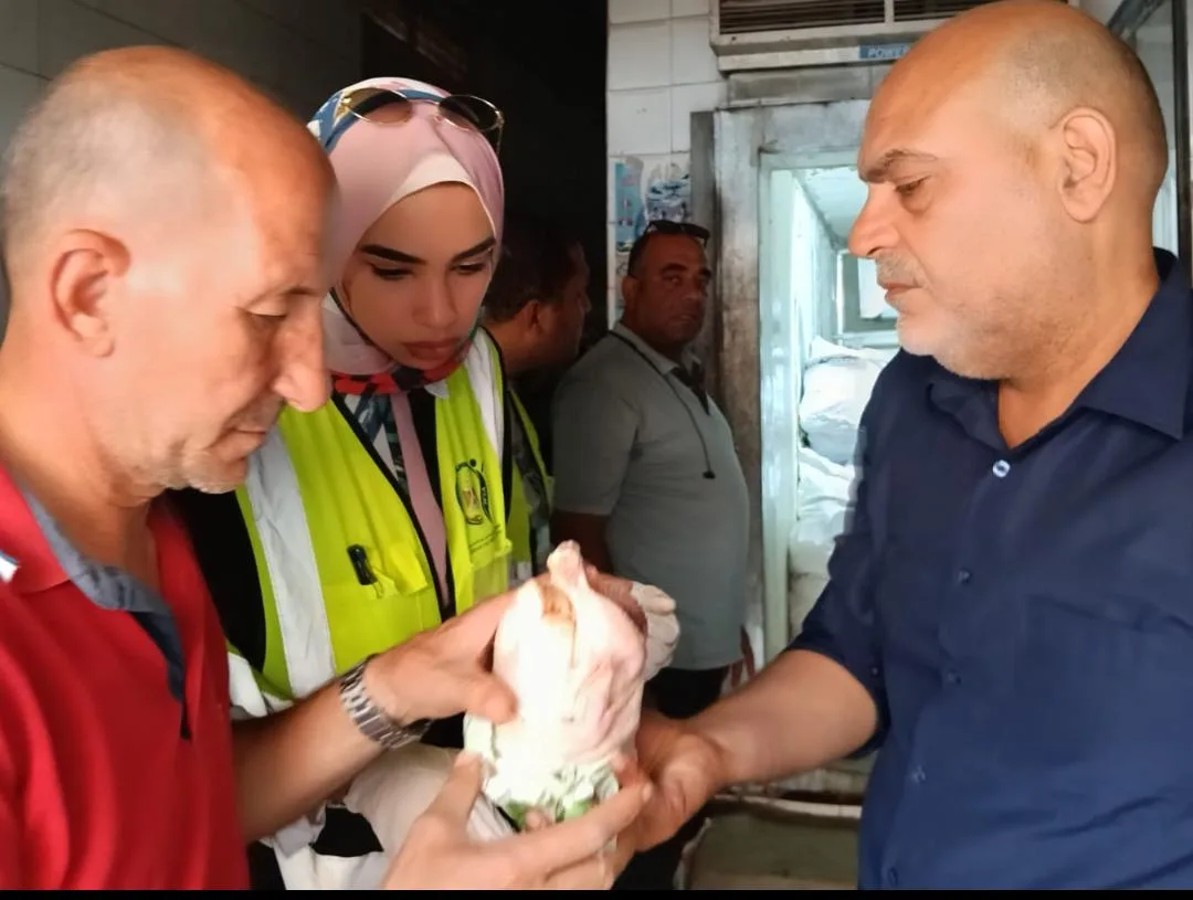 ضبط ربع طن لحوم ودواجن فاسدة خلال حملة رقابية مكبرة بمدينة بنها ضبط ربع طن لحوم ودواجن فاسدة خلال حملة رقابية مكبرة بمدينة بنها