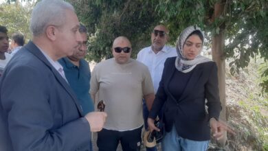 تحقيقات موسعة بالقليوبية بعد فيديو “تمساح الحصافة”.. والمحافظ يتابع أعمال التمشيط ميدانيًا