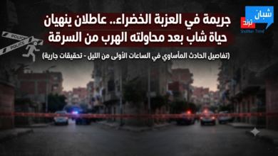 جريمة في العزبة الخضراء.. عاطلان ينهيان حياة شاب بعد محاولته الهرب من السرقة جريمة في العزبة الخضراء.. عاطلان ينهيان حياة شاب بعد محاولته الهرب من السرقة
