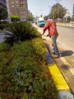 ضمن خطة الارتقاء بالمظهر الحضاري.. رئاسة مدينة بنها تواصل أعمال تطوير الشوارع وصيانة الحدائق