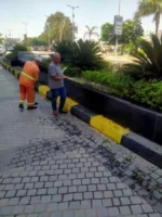 ضمن خطة الارتقاء بالمظهر الحضاري.. رئاسة مدينة بنها تواصل أعمال تطوير الشوارع وصيانة الحدائق