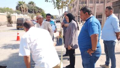 عطل بخط الصرف يتسبب في هبوط أرضي بشارع كريستال عصفور.. وتحرك عاجل في شبرا الخيمة