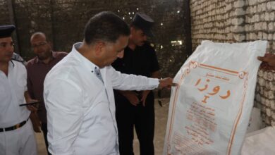 محافظ القليوبية يضبط مخزنًا لإعادة تعبئة منظفات مجهولة المصدر ويوجه باتخاذ الإجراءات القانونية