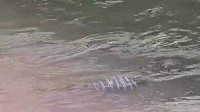 العثور على جثمان طافٍ ببحر كفر مويس في بنها.. وفيديو يوثق الواقعة