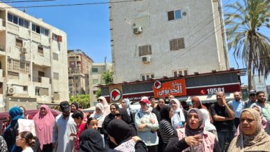 فرحة أمام اللجان.. طلاب القليوبية يشيدون بسهولة امتحاني الفيزياء والتاريخ