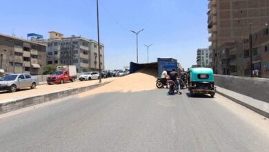 تناثر حمولة قمح بعد انقلاب سيارة نقل أعلى كوبري الشارع الجديد بالقليوبية تناثر حمولة قمح بعد انقلاب سيارة نقل أعلى كوبري الشارع الجديد بالقليوبية