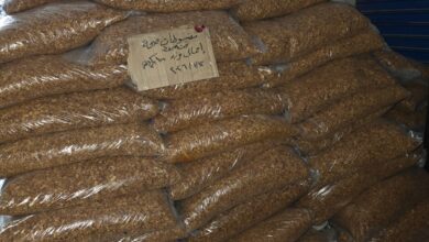 بقايا حشرية ومخالفات صحية.. ضبط طن "تقلية" داخل مخزن غير مرخص بالقليوبية