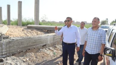 بالصور.. محافظ القليوبية يقود إزالة تعدٍ على 10 أفدنة زراعية في أبو زعبل