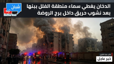 الدخان يغطي سماء منطقة الفلل ببنها بعد نشوب حريق داخل برج الروضة