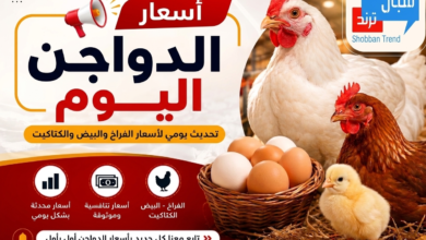 انخفاض ملحوظ اليوم فى أسعار الدواجن تعرف عليها 