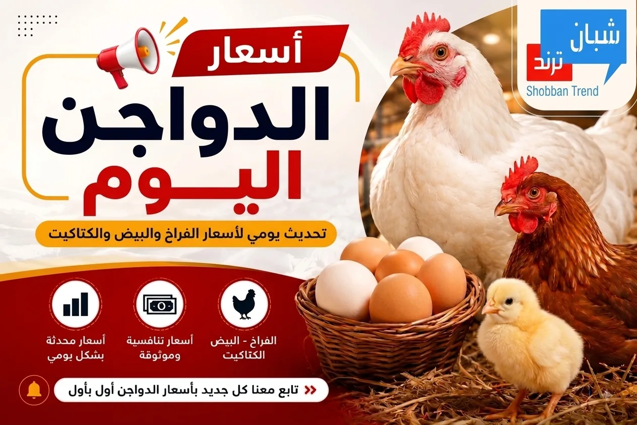 انخفاض ملحوظ اليوم فى أسعار الدواجن تعرف عليها انخفاض ملحوظ اليوم فى أسعار الدواجن تعرف عليها