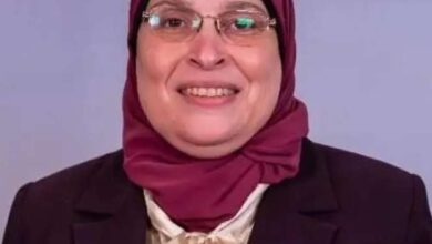 مصر التي في خاطري .. حين يصبح الفن صورةً للوطن الذي نريد أن نراه