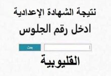 نتيجة الشهادة الإعدادية 2026 الدور الثاني محافظة القليوبية.. الموعد ورابط الاستعلام برقم الجلوس